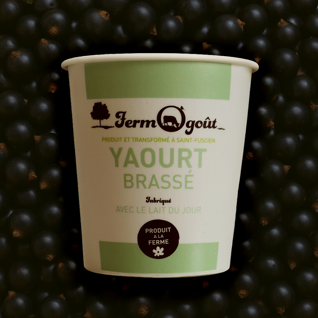 Yaourt Cassis 125gr