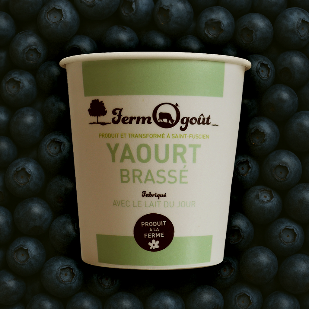 Yaourt Myrtille 125gr