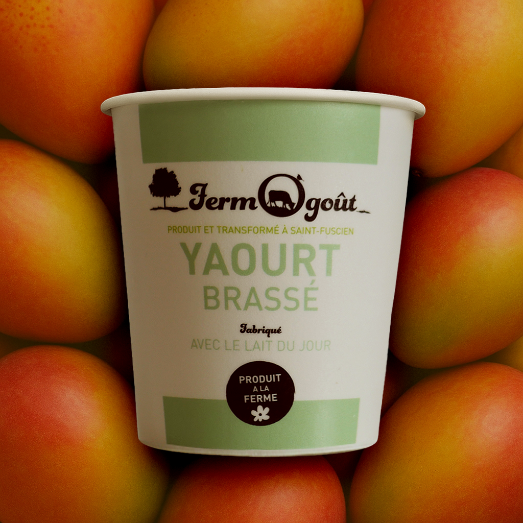 Yaourt  Mangue Passion 125gr