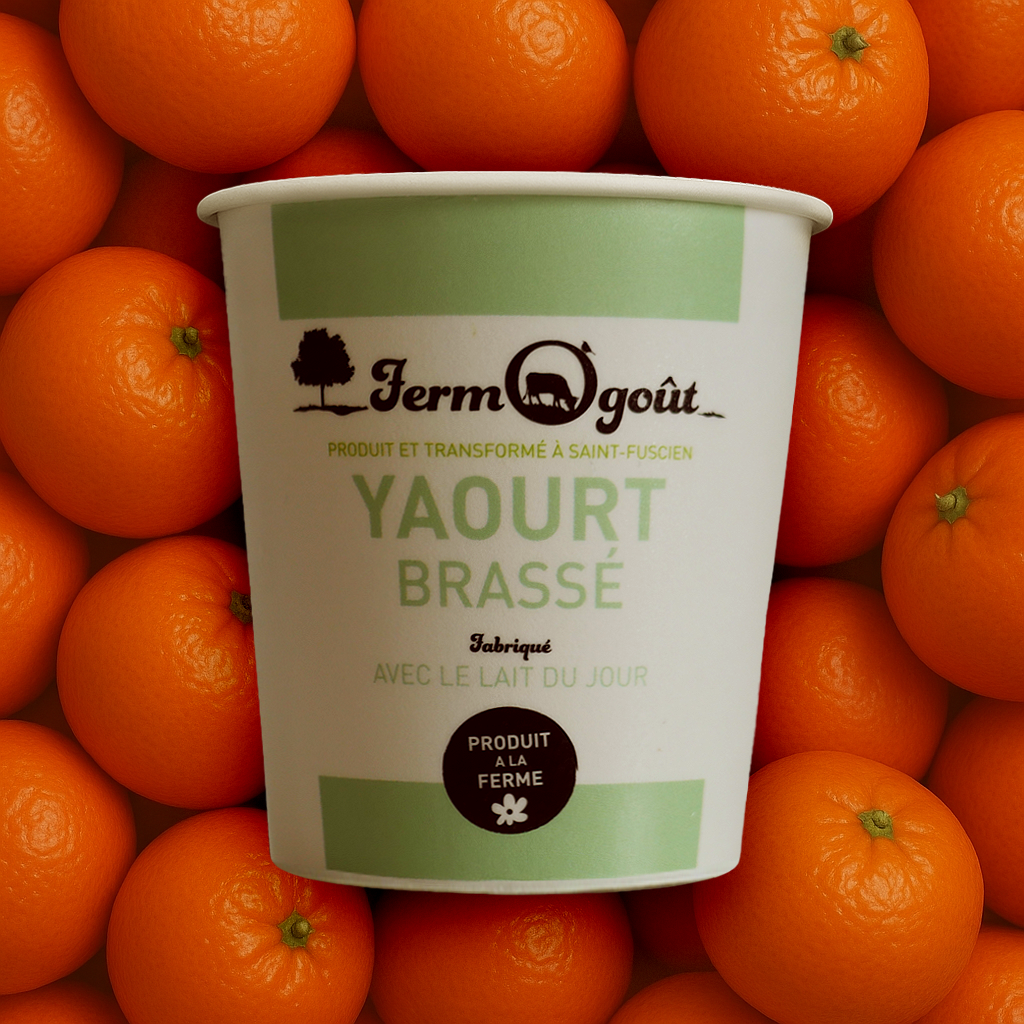 Yaourt Clementine 125gr